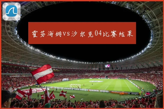 霍芬海姆vs沙尔克04比赛结果