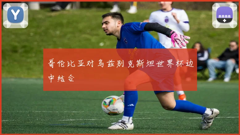 哥伦比亚对乌兹别克斯坦世界杯边中结合