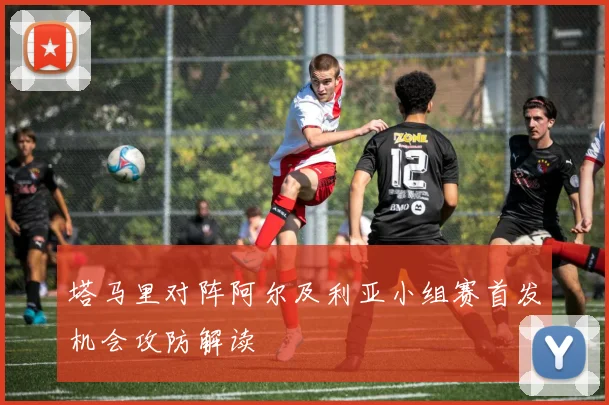 塔马里对阵阿尔及利亚小组赛首发机会攻防解读