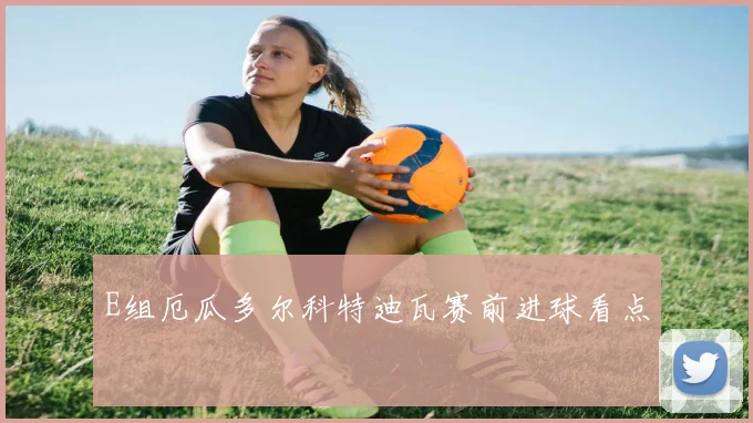 E组厄瓜多尔科特迪瓦赛前进球看点