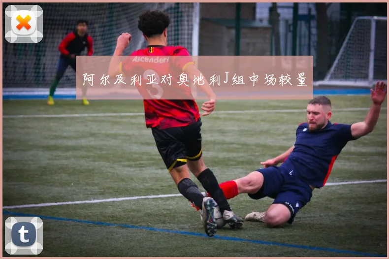阿尔及利亚对奥地利J组中场较量