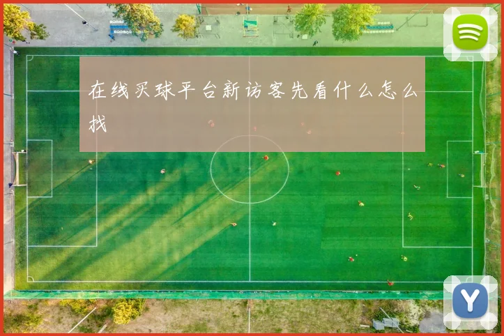 在线买球平台新访客先看什么怎么找