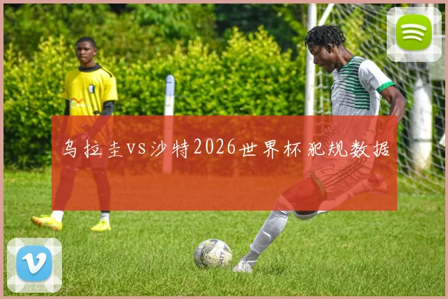 乌拉圭vs沙特2026世界杯犯规数据